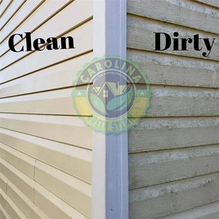 Before and After Pressure washing