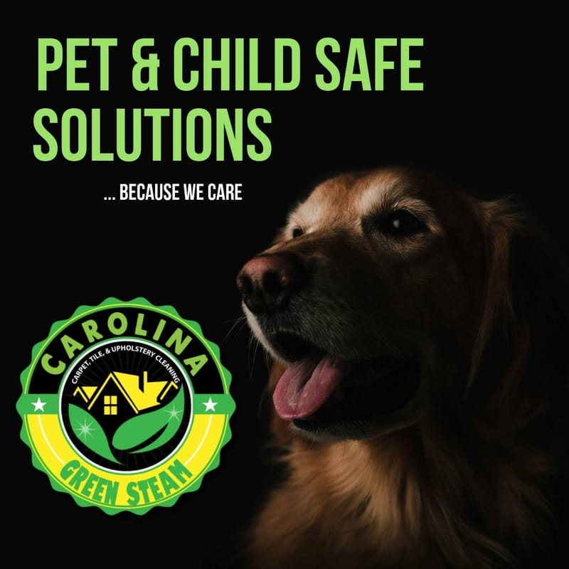 Carolina Green Steam provides pet odor treatments in the Summerville, South Carolina, area.”