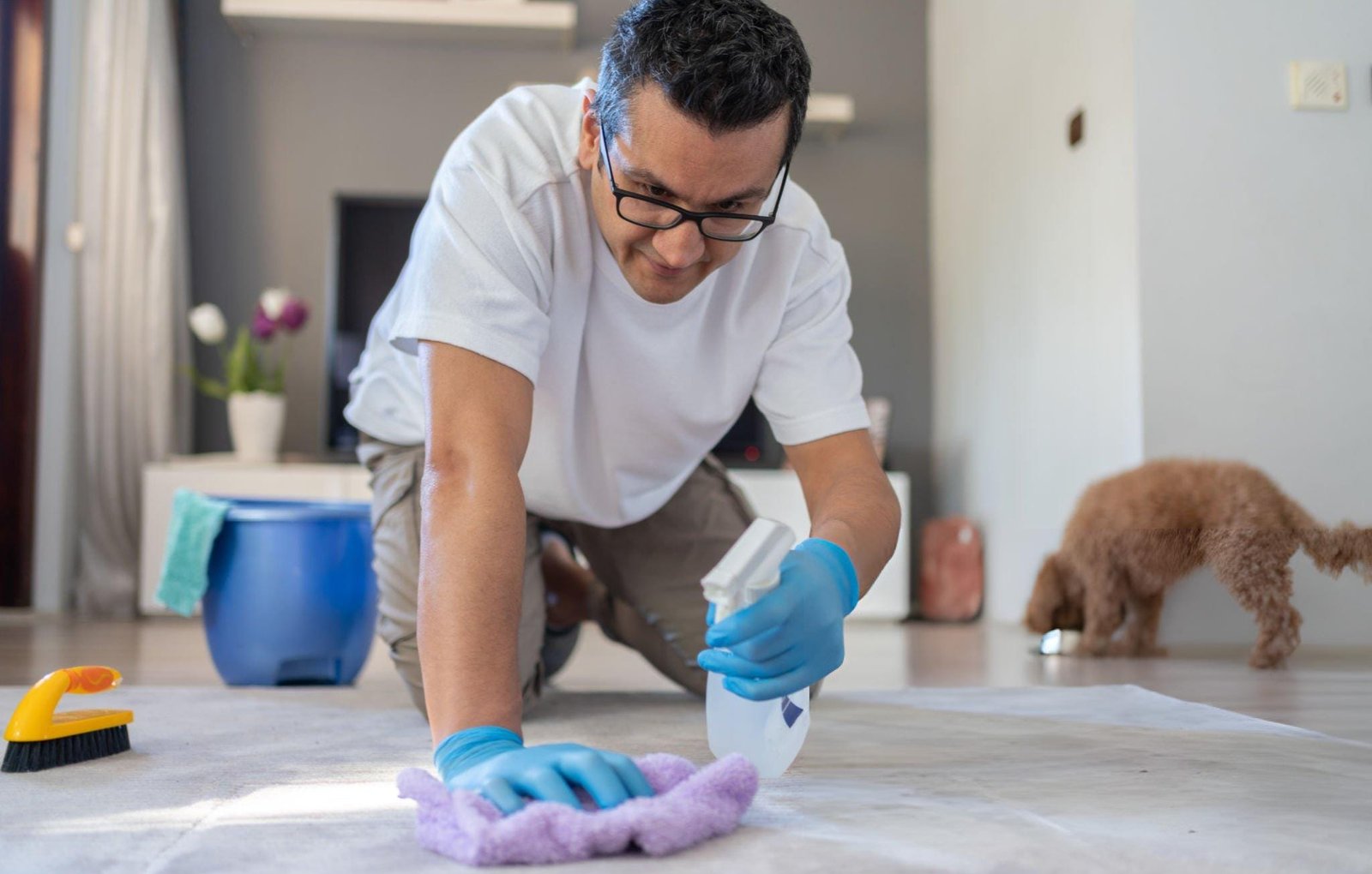 carpet pet stain cleaning