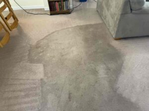 Heavily soiled carpet showing dramatic before and after professional carpet cleaning results in a living room