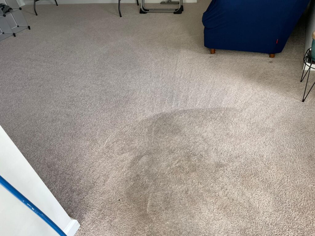 Before and after carpet cleaning results in Summerville SC showing removal of heavy traffic lane soil